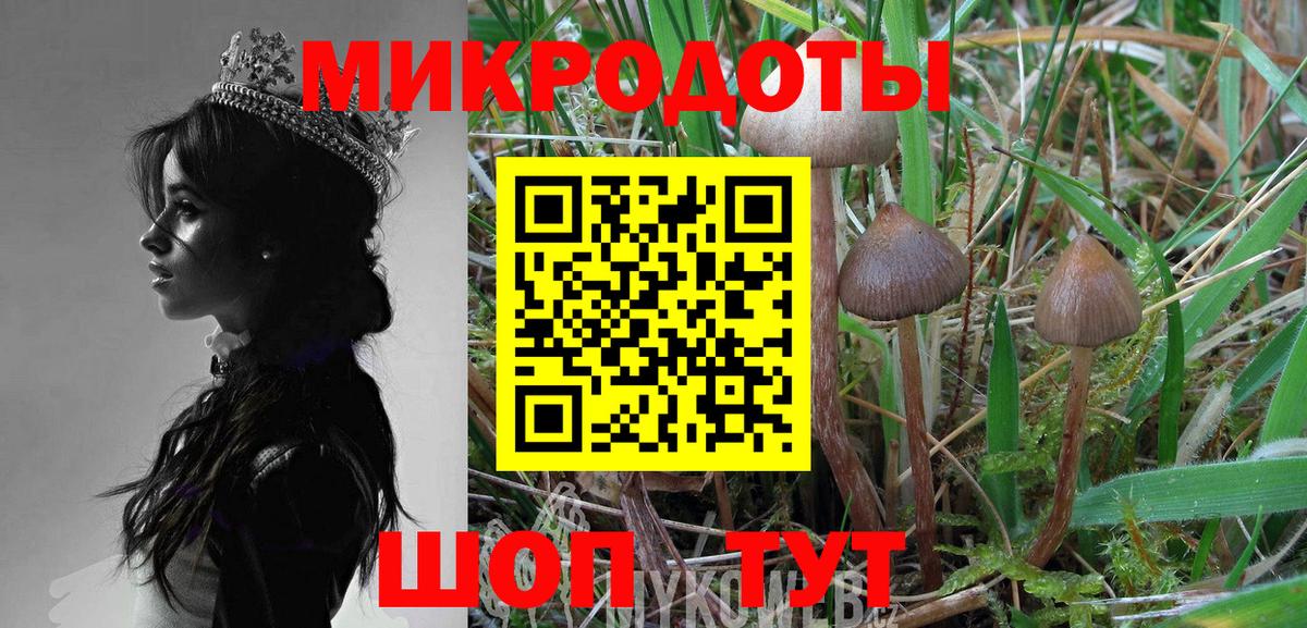 Краснодар  Галлюциногенные грибы Magic Shrooms  Галлюциногенные грибы MAGIC MUSHROOMS  Вход с VPN 
