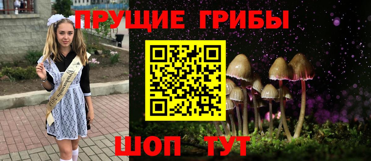 Галлюциногенные грибы Psilocybe Краснодар