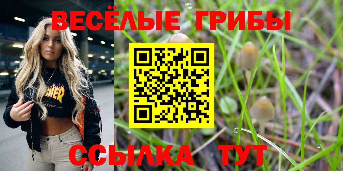 МДМА  Краснодар  МЕТАДОН  Меф  НБОМе  Канабис  МЕТАМФЕТАМИН  Cocaine  ГАШ  Кокаин  A-PVP СОЛЬ кристаллы  Мефедрон кристаллы  Вход с VPN 